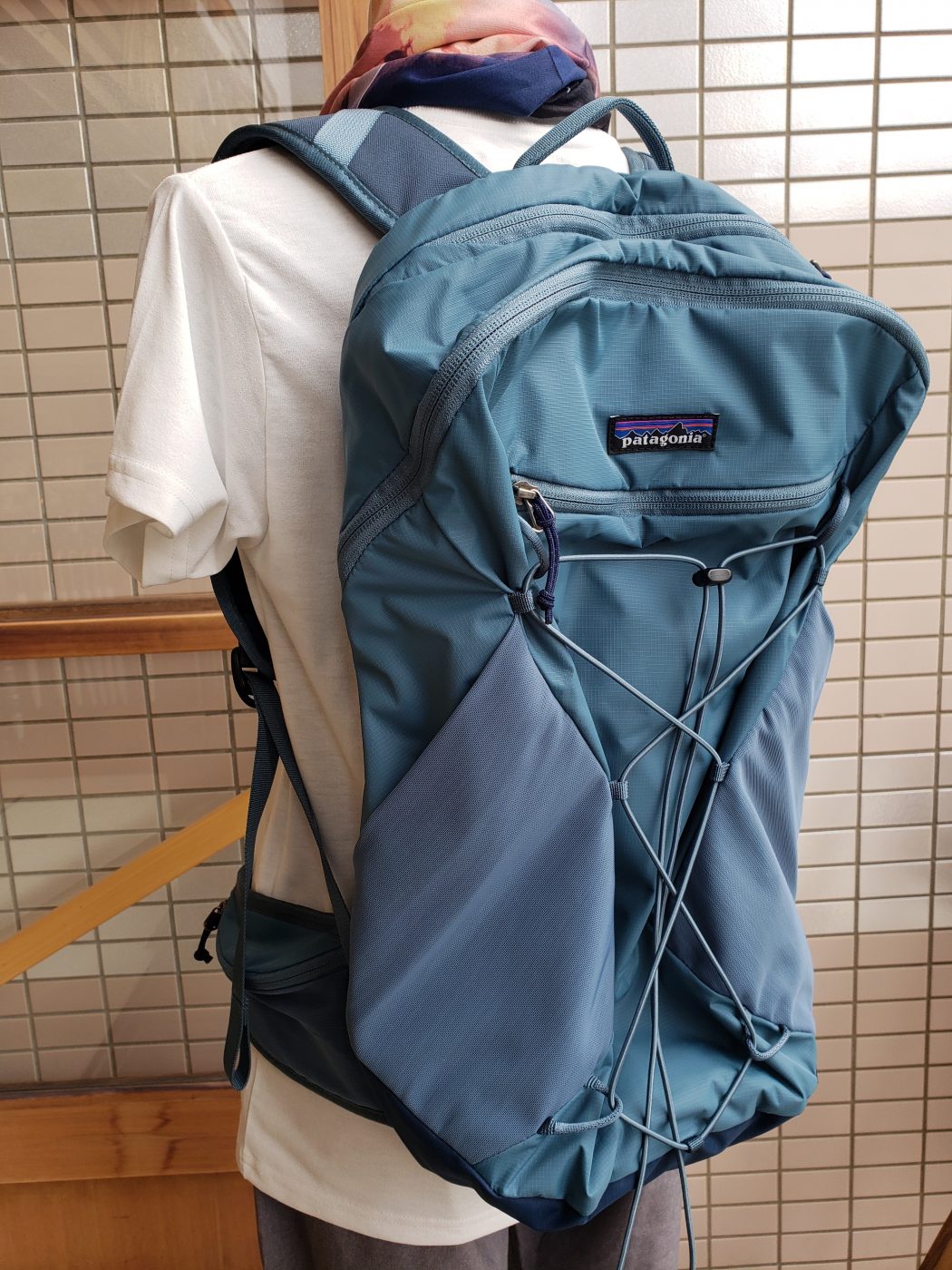 【値下げ】patagonia (パタゴニア) アルトヴィア・パック 22L